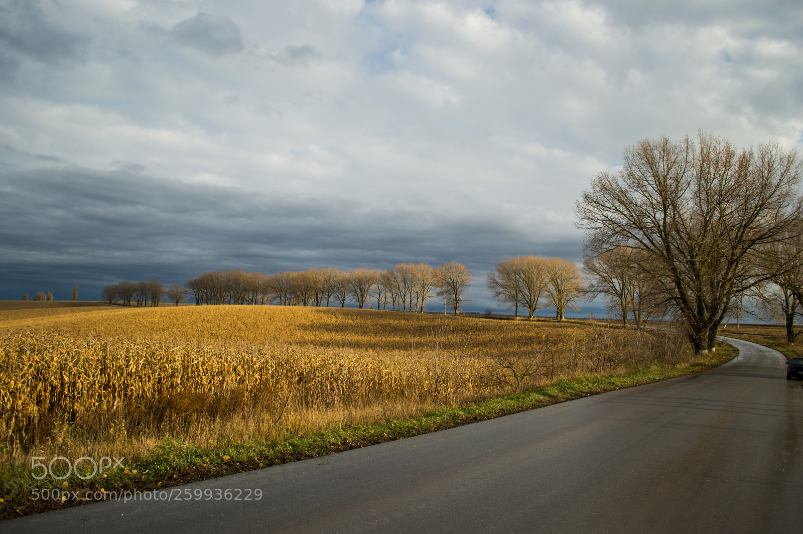 Nikon D3200 sample photo. Road to heaven photography