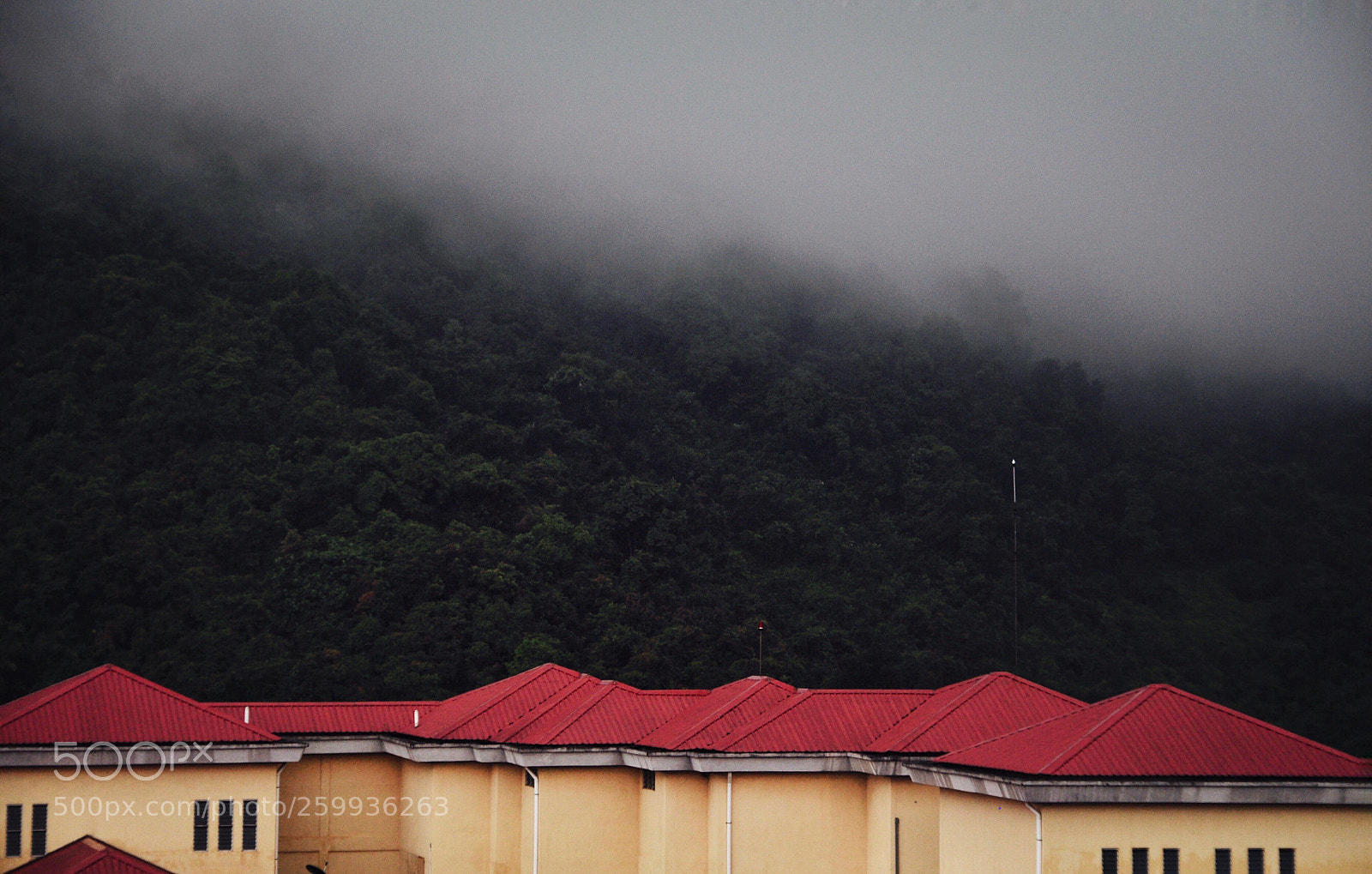 Nikon D5000 sample photo. Layers photography