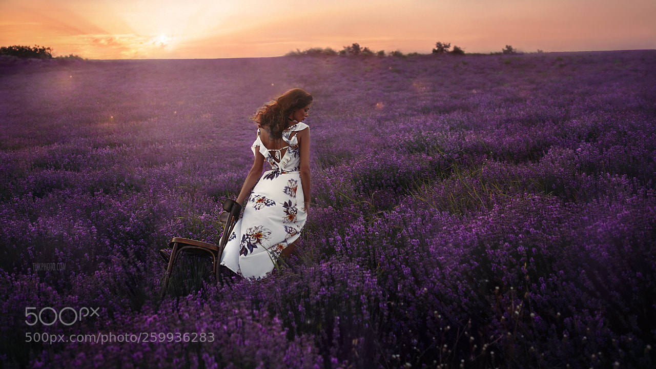 Canon EOS 6D sample photo. Lavender photography