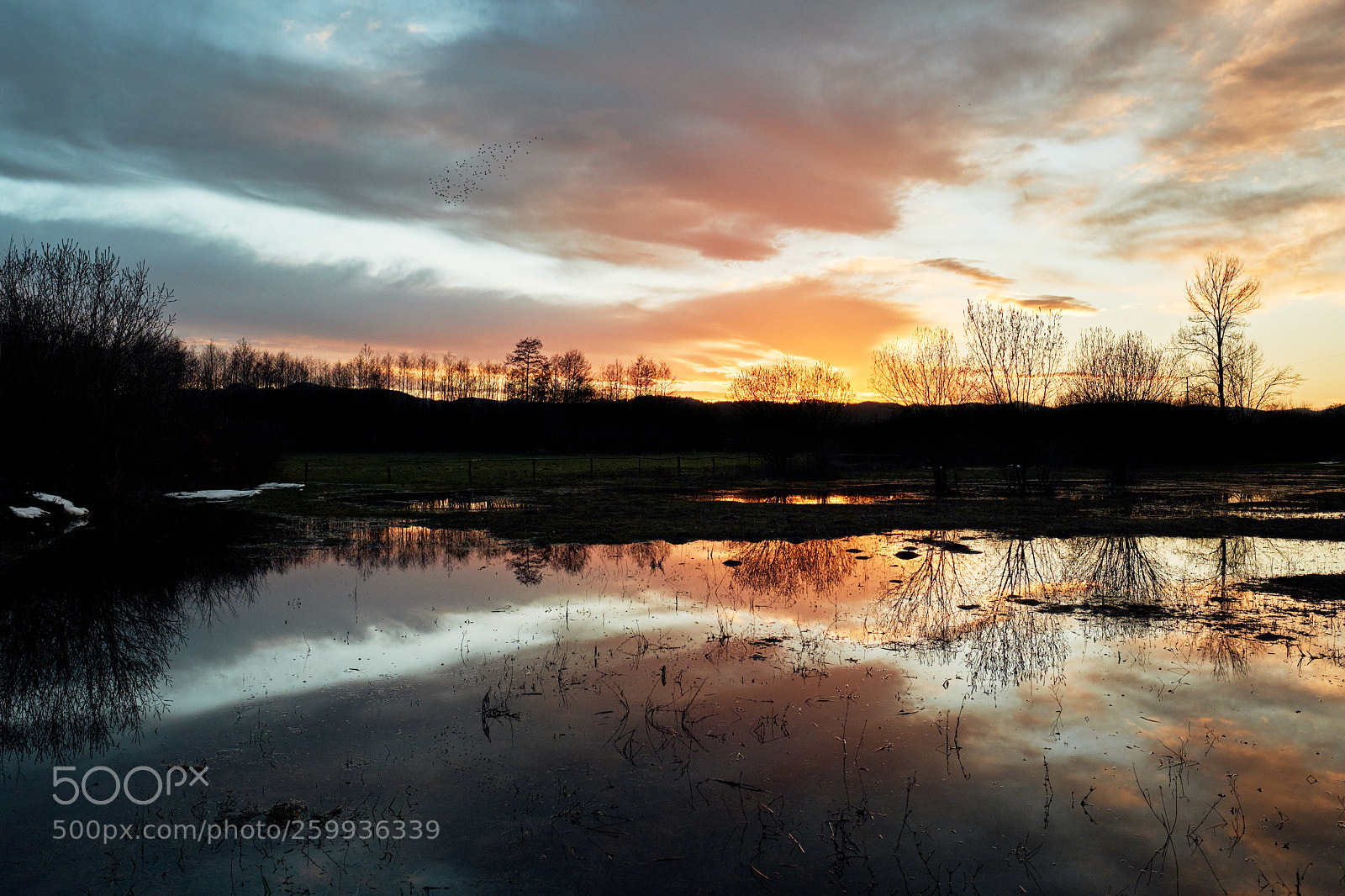 Fujifilm X-T2 sample photo. Reflection photography