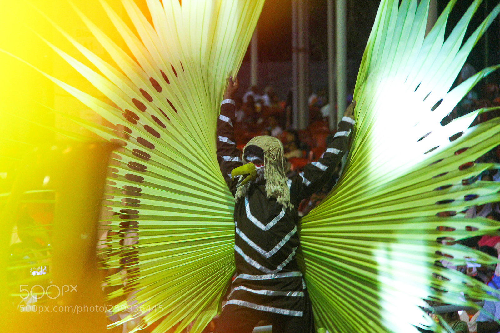 Canon EOS 60D sample photo. Human eagle photography