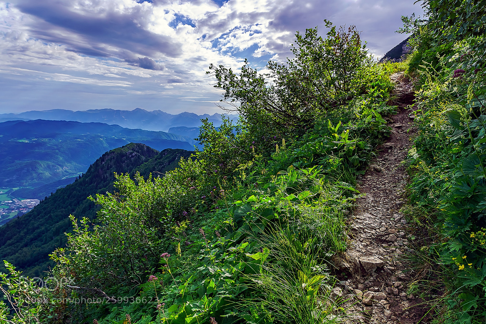 Sony ILCA-77M2 sample photo. Steep path photography
