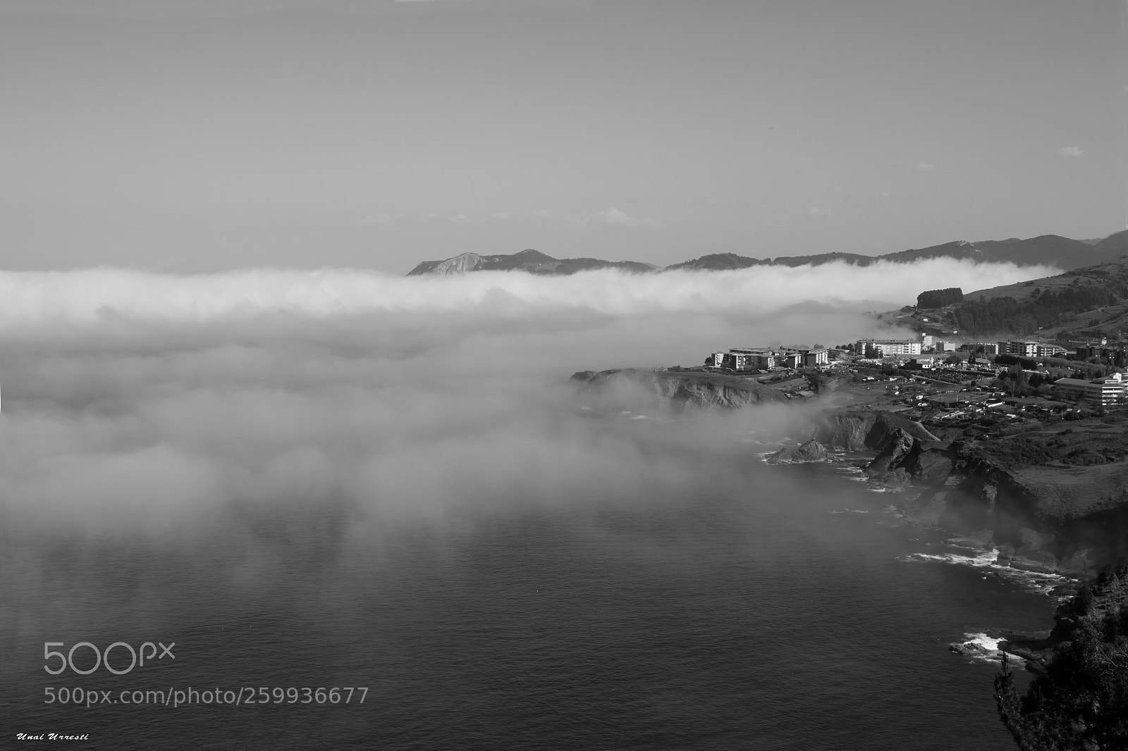 Canon EOS 77D (EOS 9000D / EOS 770D) sample photo. Entra la niebla en photography