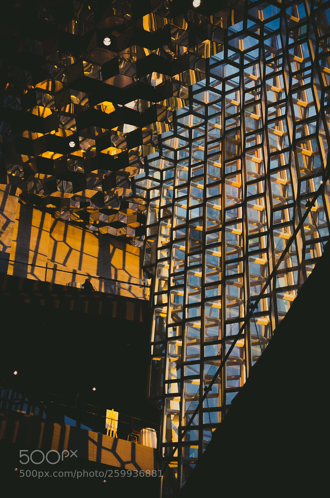 Nikon D7000 sample photo. Harpa photography