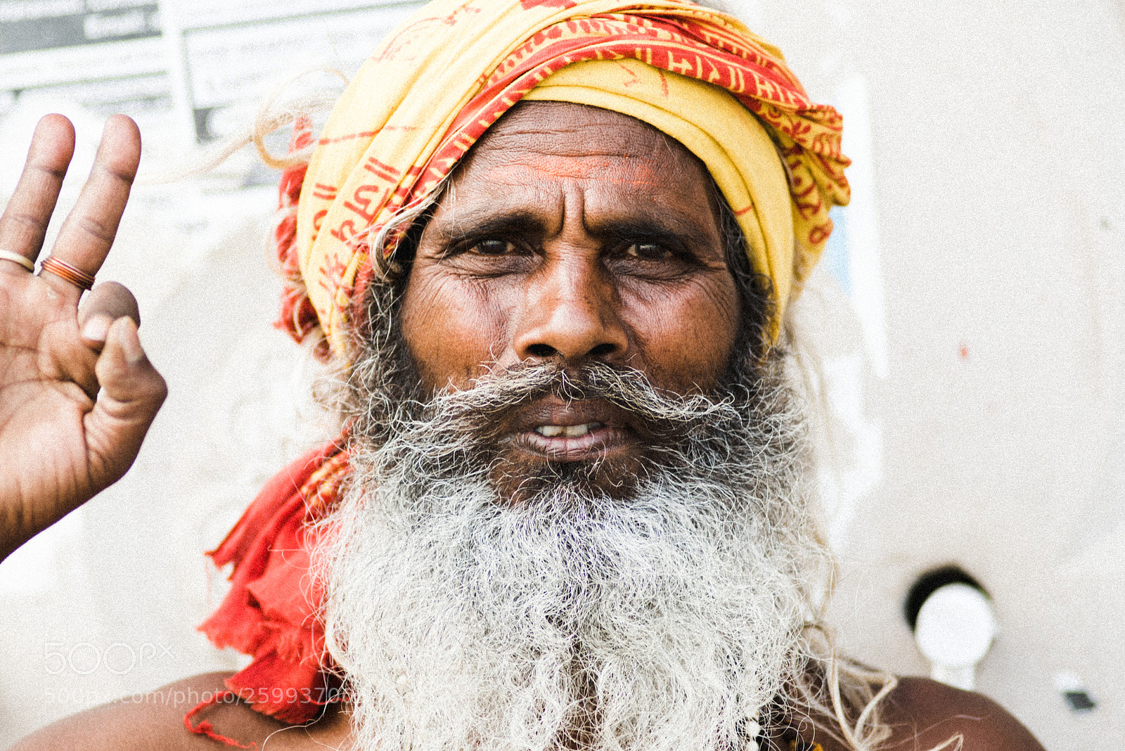 Nikon D750 sample photo. Sahdu photography