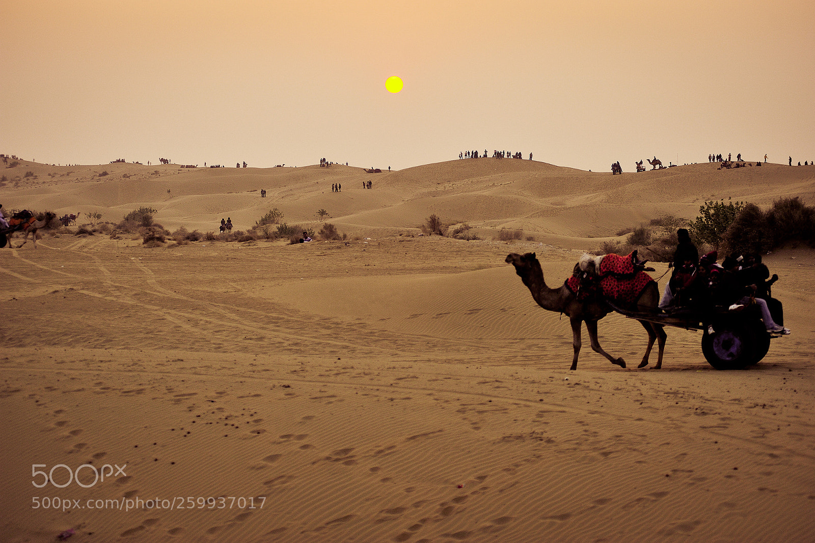 Nikon D700 sample photo. Desert photography