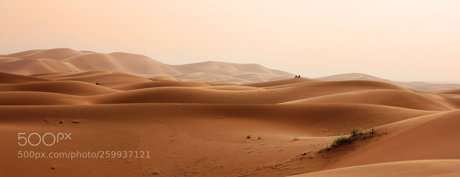 Canon EOS 550D (EOS Rebel T2i / EOS Kiss X4) sample photo. Jaisalmer tour packages price photography