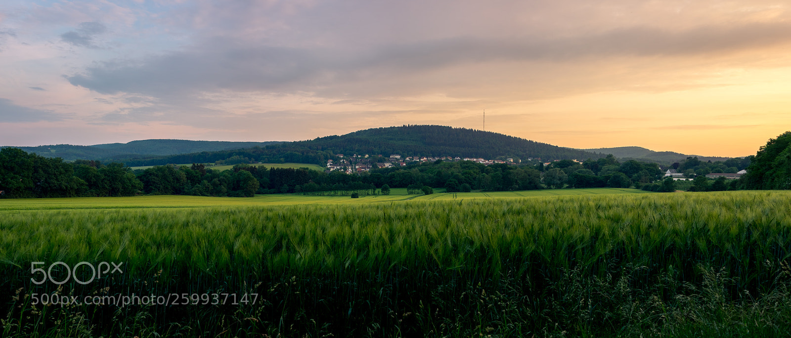 Fujifilm X-T1 sample photo. Panorama auf hiddesen photography
