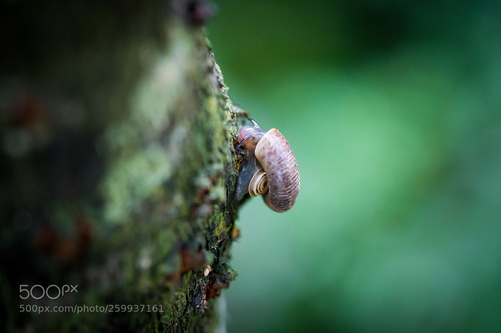 Canon EOS 6D sample photo. My little world photography
