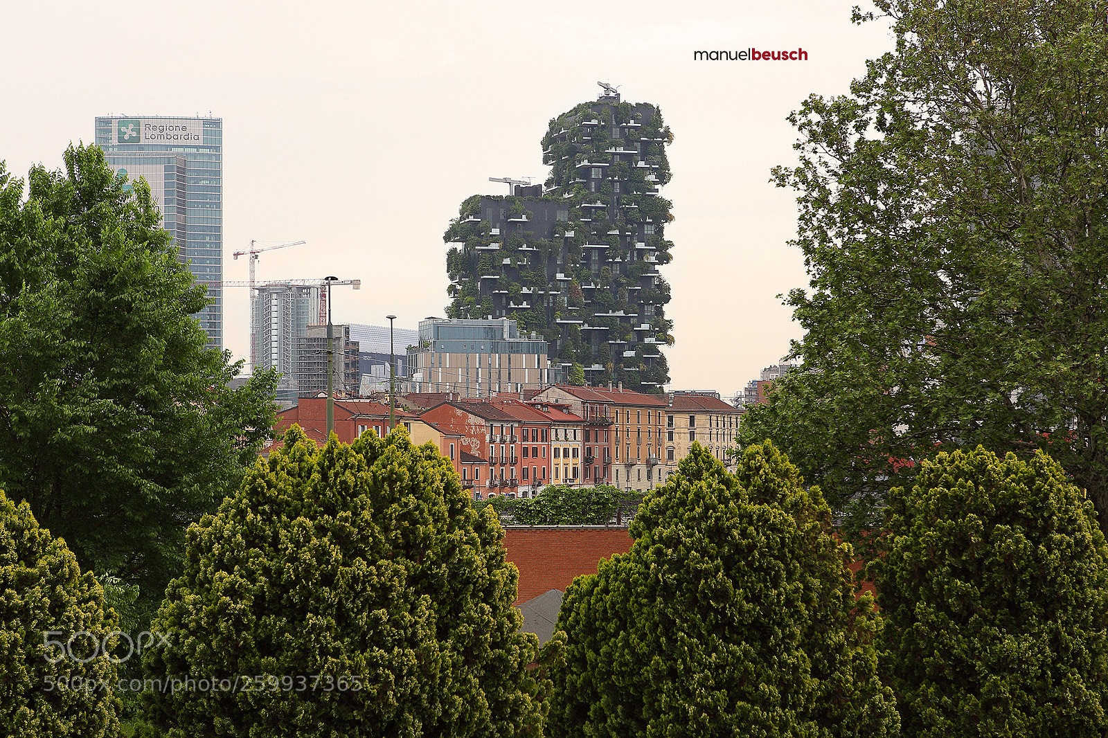 Canon EOS 5D Mark II sample photo. Bosco orizzontale e verticale photography