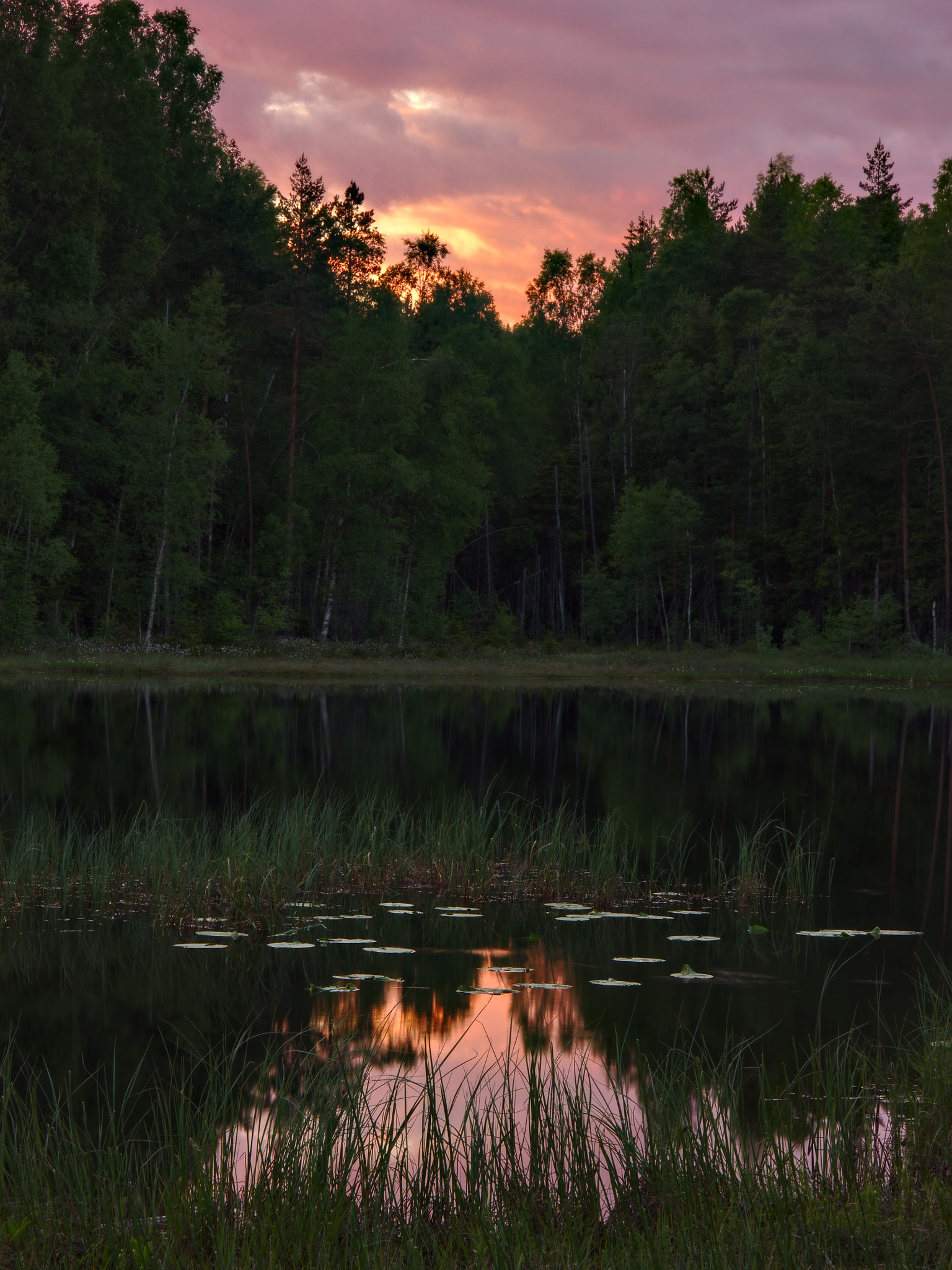 Canon EOS 550D (EOS Rebel T2i / EOS Kiss X4) sample photo. Sunset by a forest tarn photography