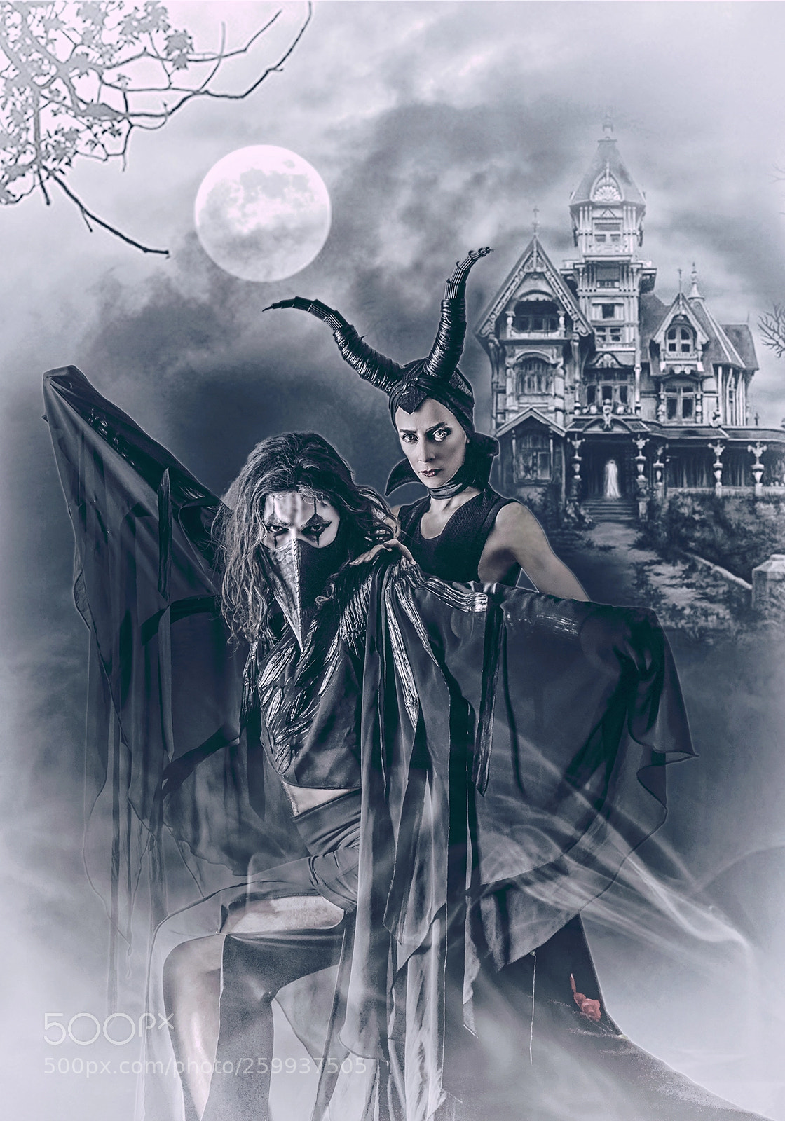 Sony a7 sample photo. Maleficient photography