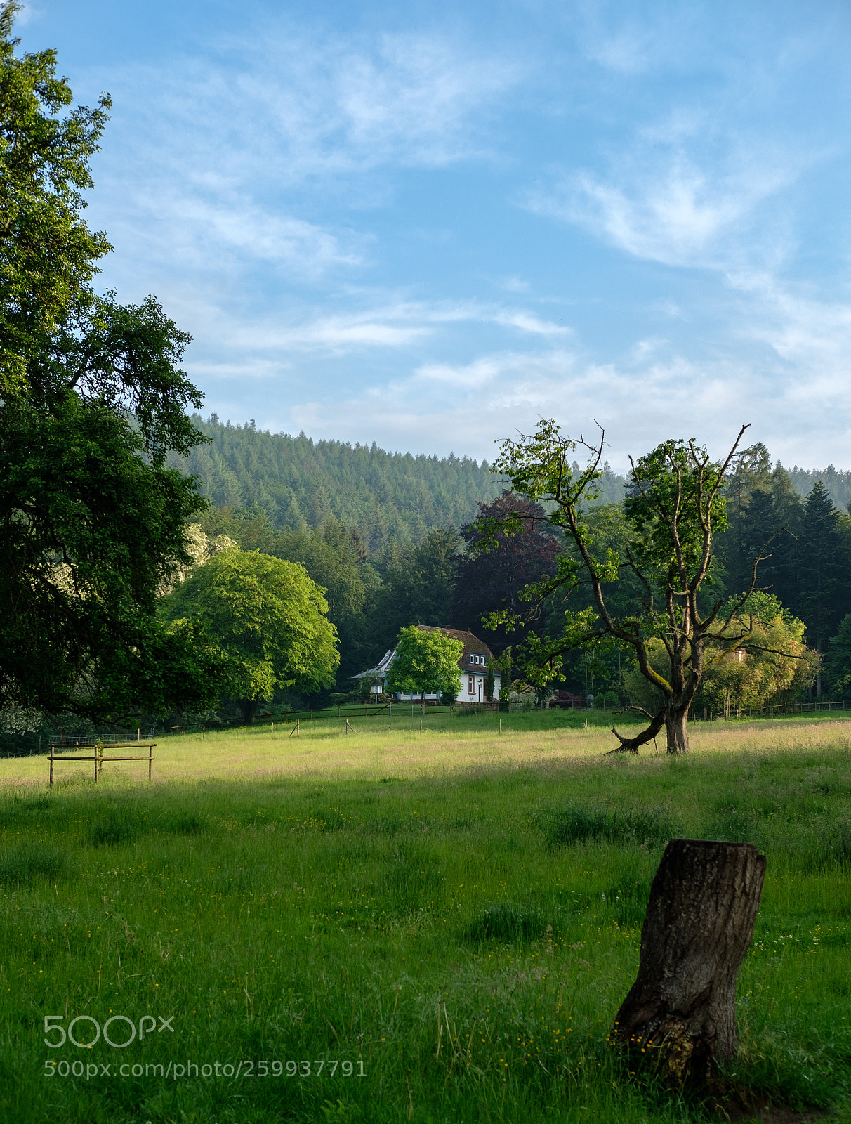 Fujifilm X-T2 sample photo. There is a home.. photography