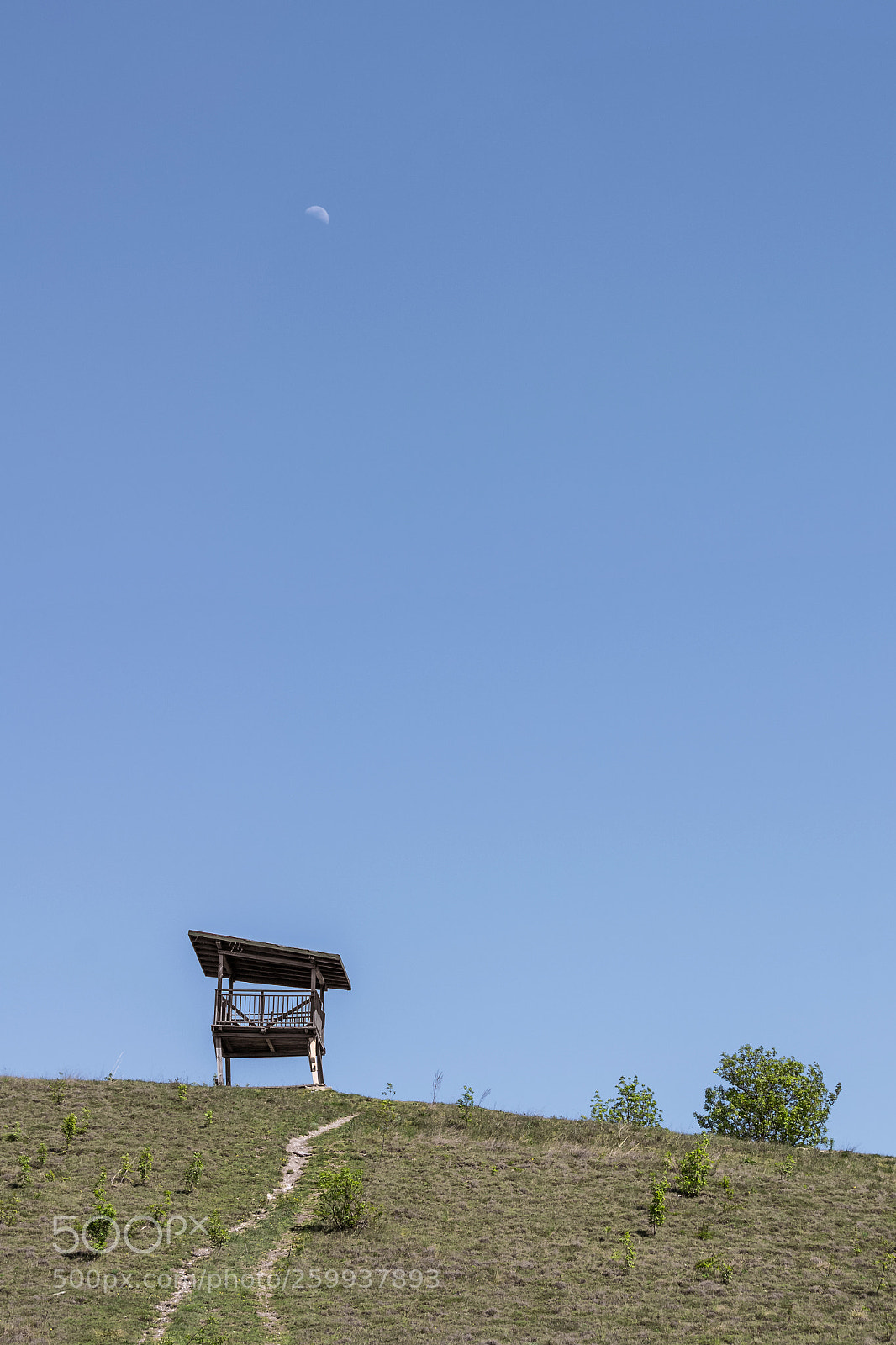 Sony Alpha NEX-6 sample photo. Up on the hill photography