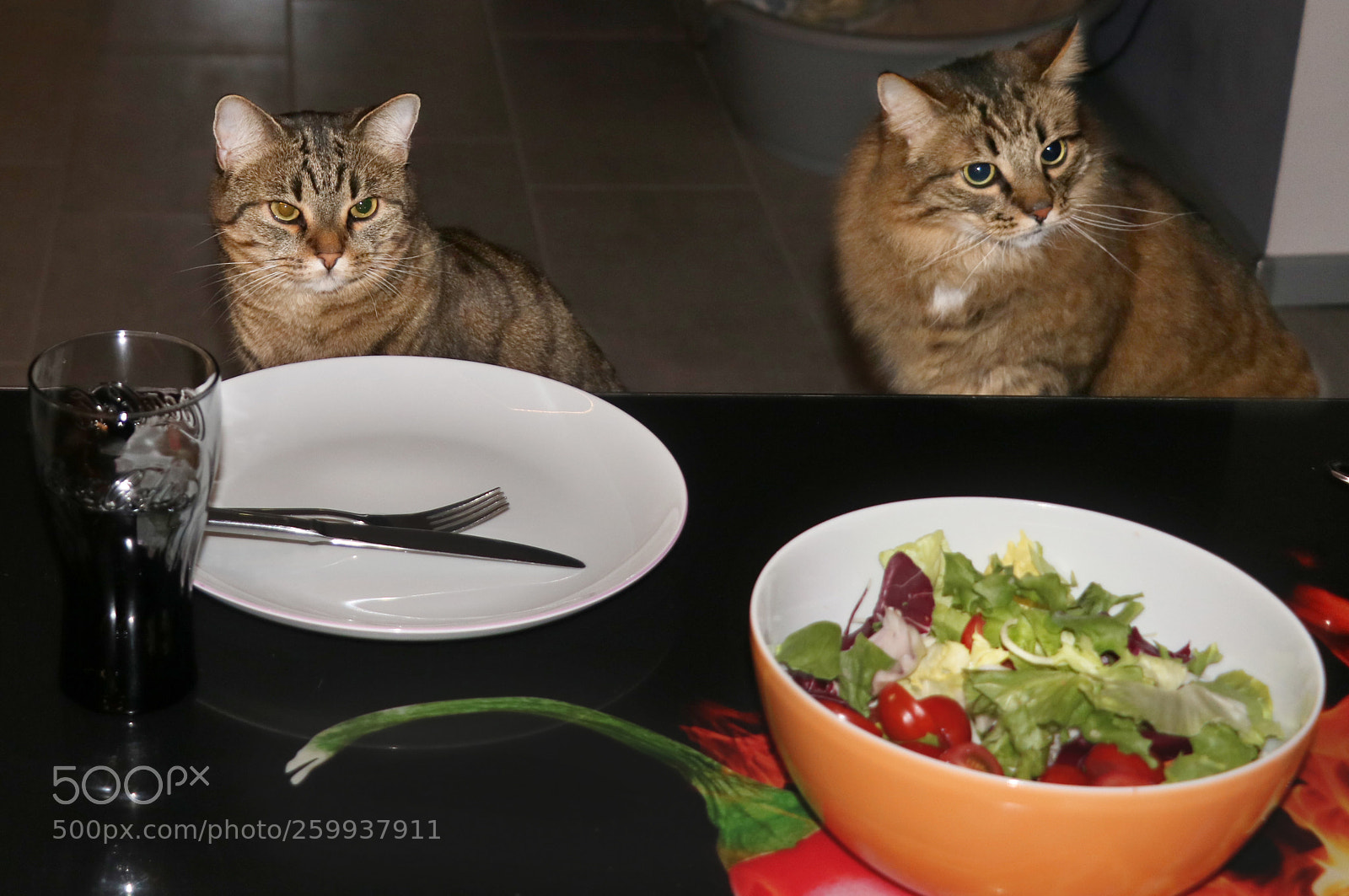Canon EOS 750D (EOS Rebel T6i / EOS Kiss X8i) sample photo. Dinnerisserved photography