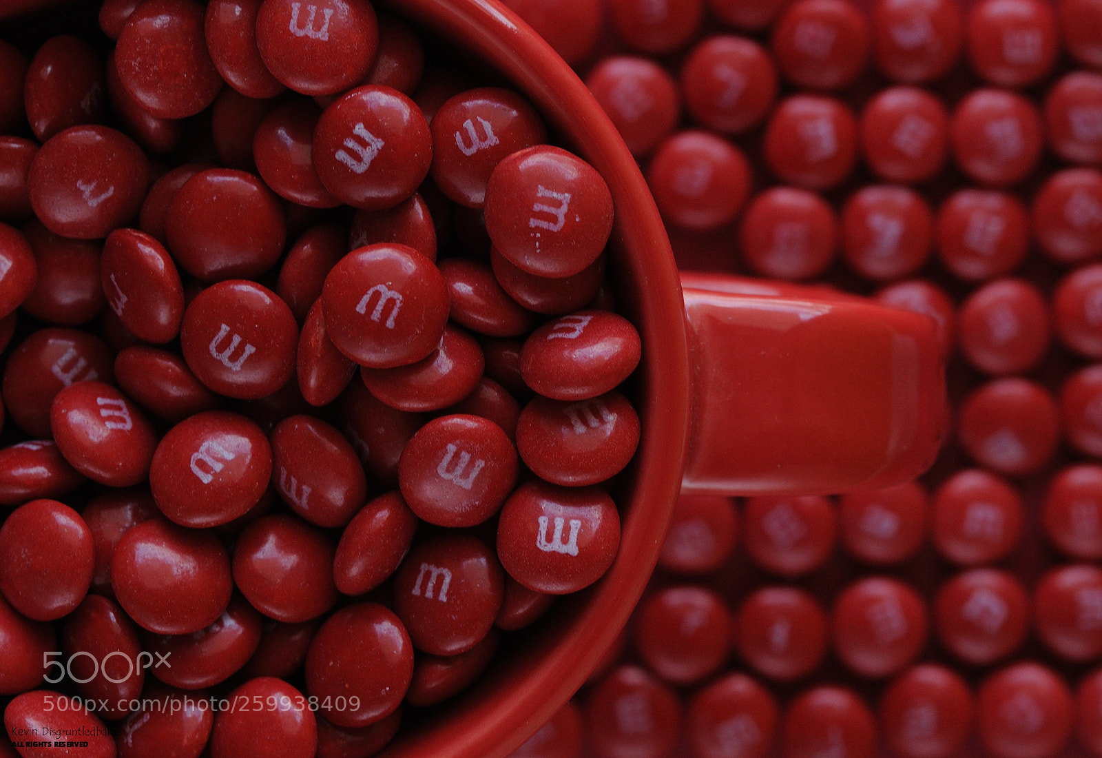 Nikon D90 sample photo. The red ones  photography