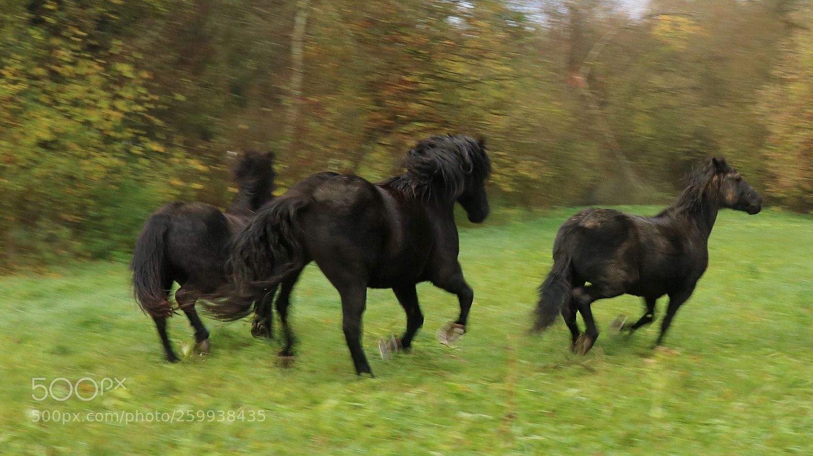 Canon EOS 750D (EOS Rebel T6i / EOS Kiss X8i) sample photo. Flucht photography