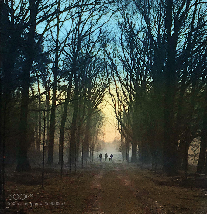 Apple iPhone SE sample photo. Morningwalk kopie photography