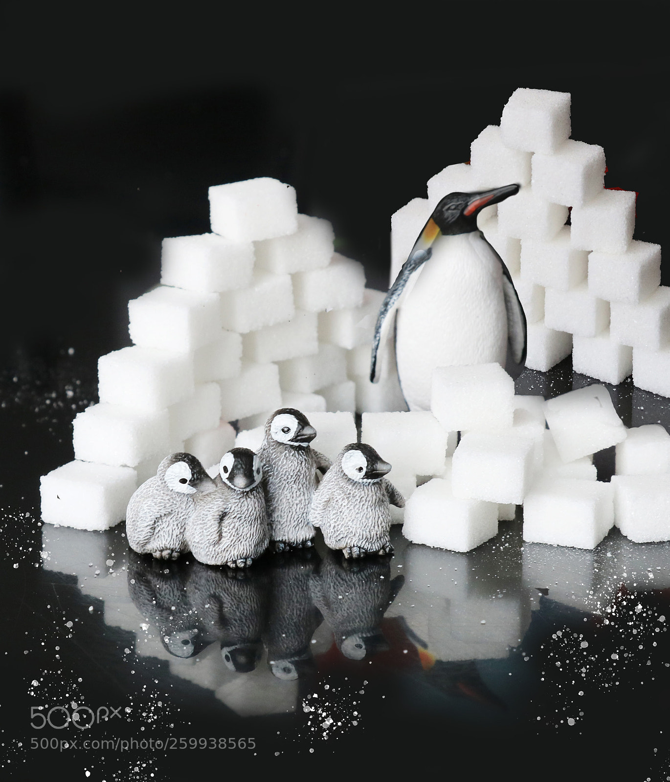 Canon EOS 750D (EOS Rebel T6i / EOS Kiss X8i) sample photo. Pinguine photography