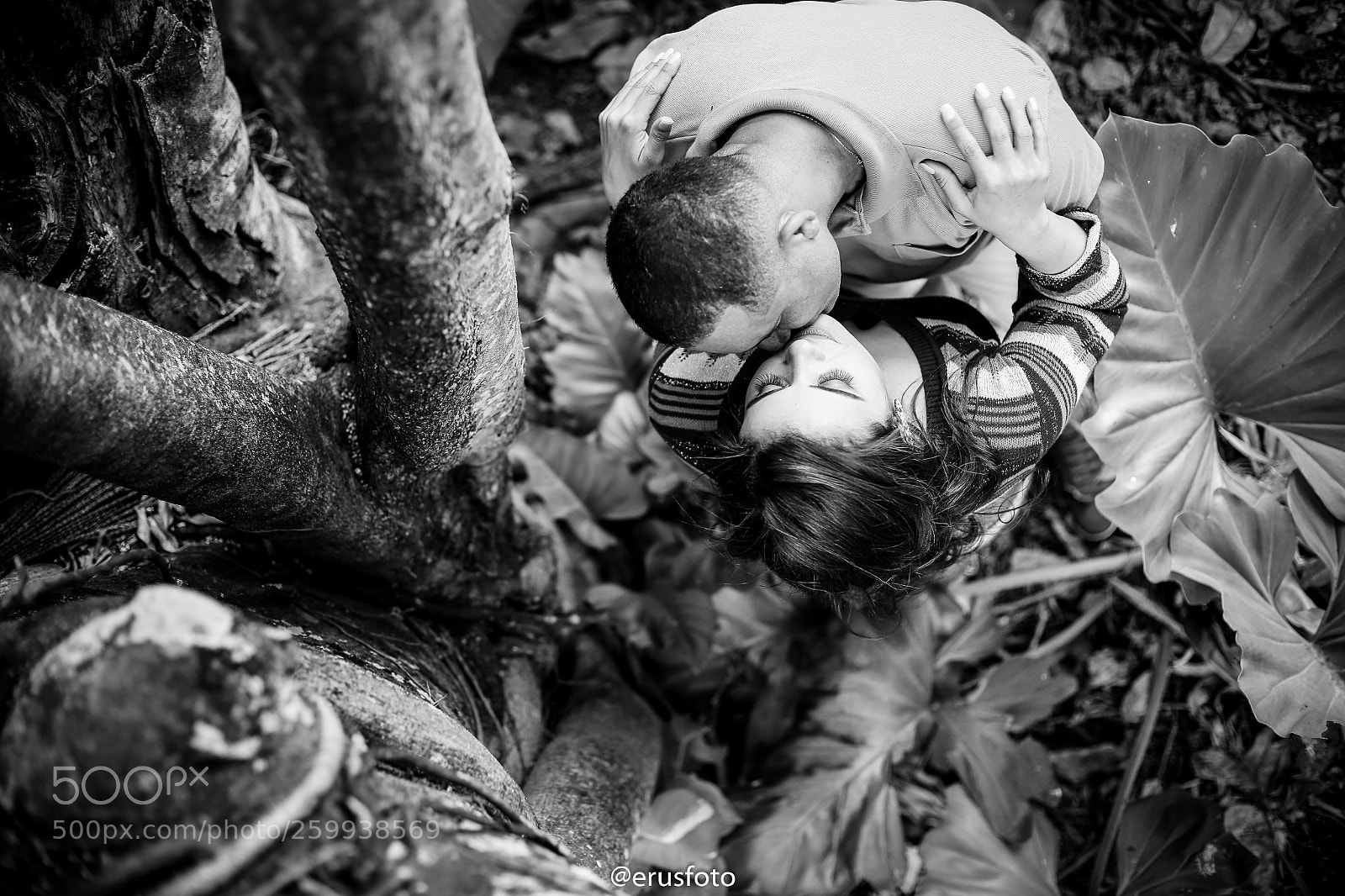 Canon EOS 6D sample photo. Up photography