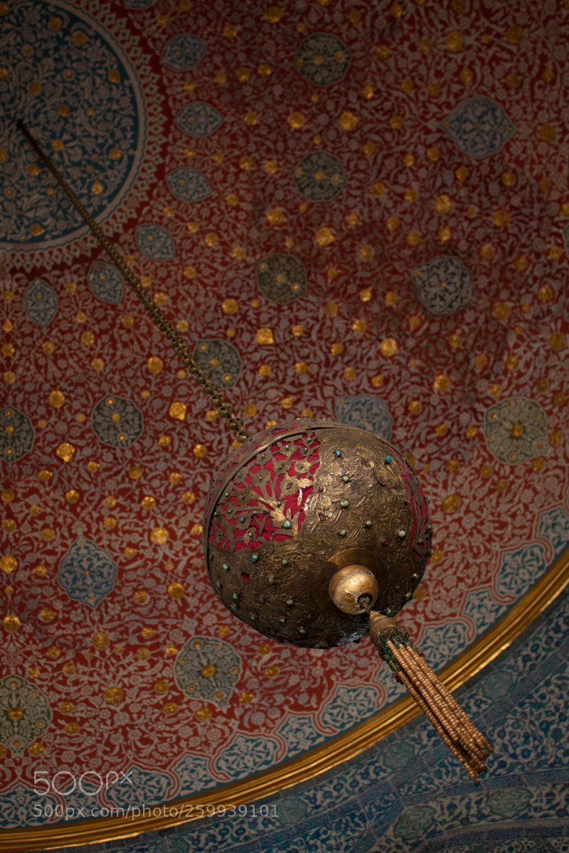 Canon EOS 50D sample photo. Topkapi photography