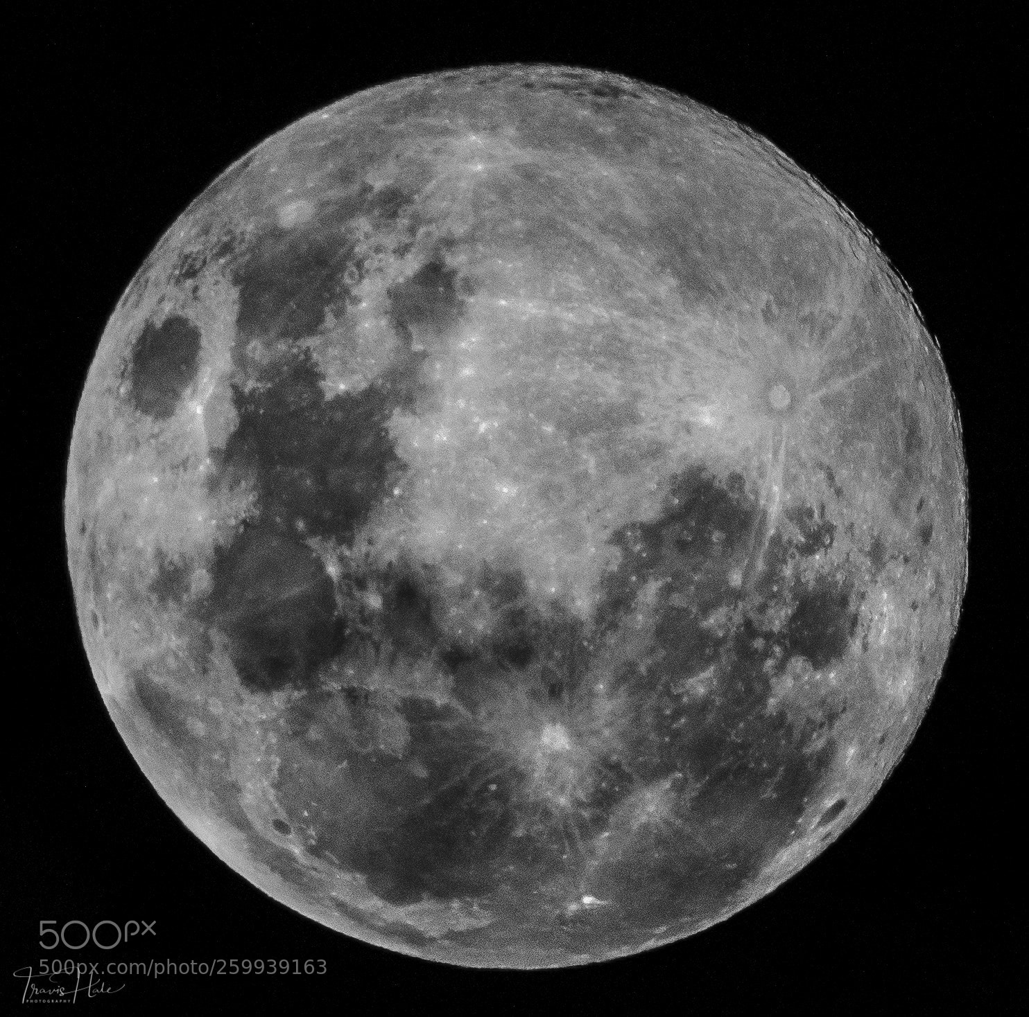 Nikon D5300 sample photo. Moonlit night photography