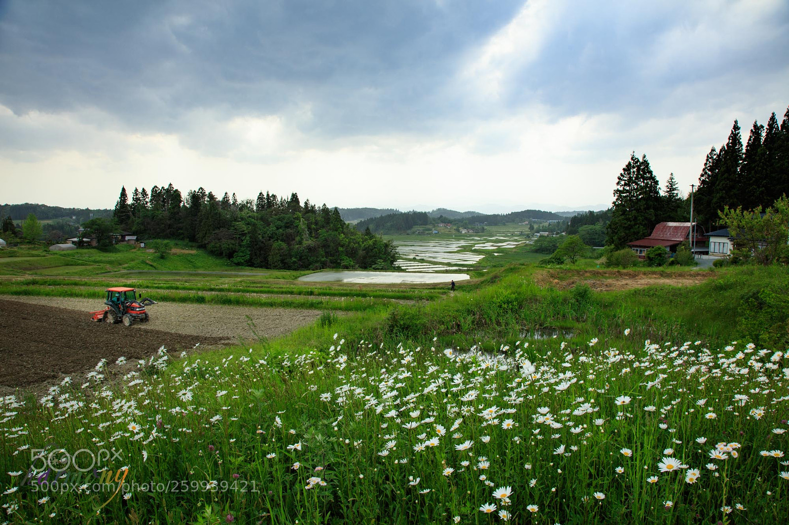 Canon EOS 5DS sample photo. An afternoon in the photography
