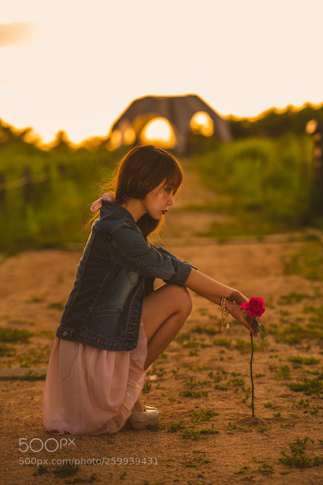 Nikon D850 sample photo. Sunset photography