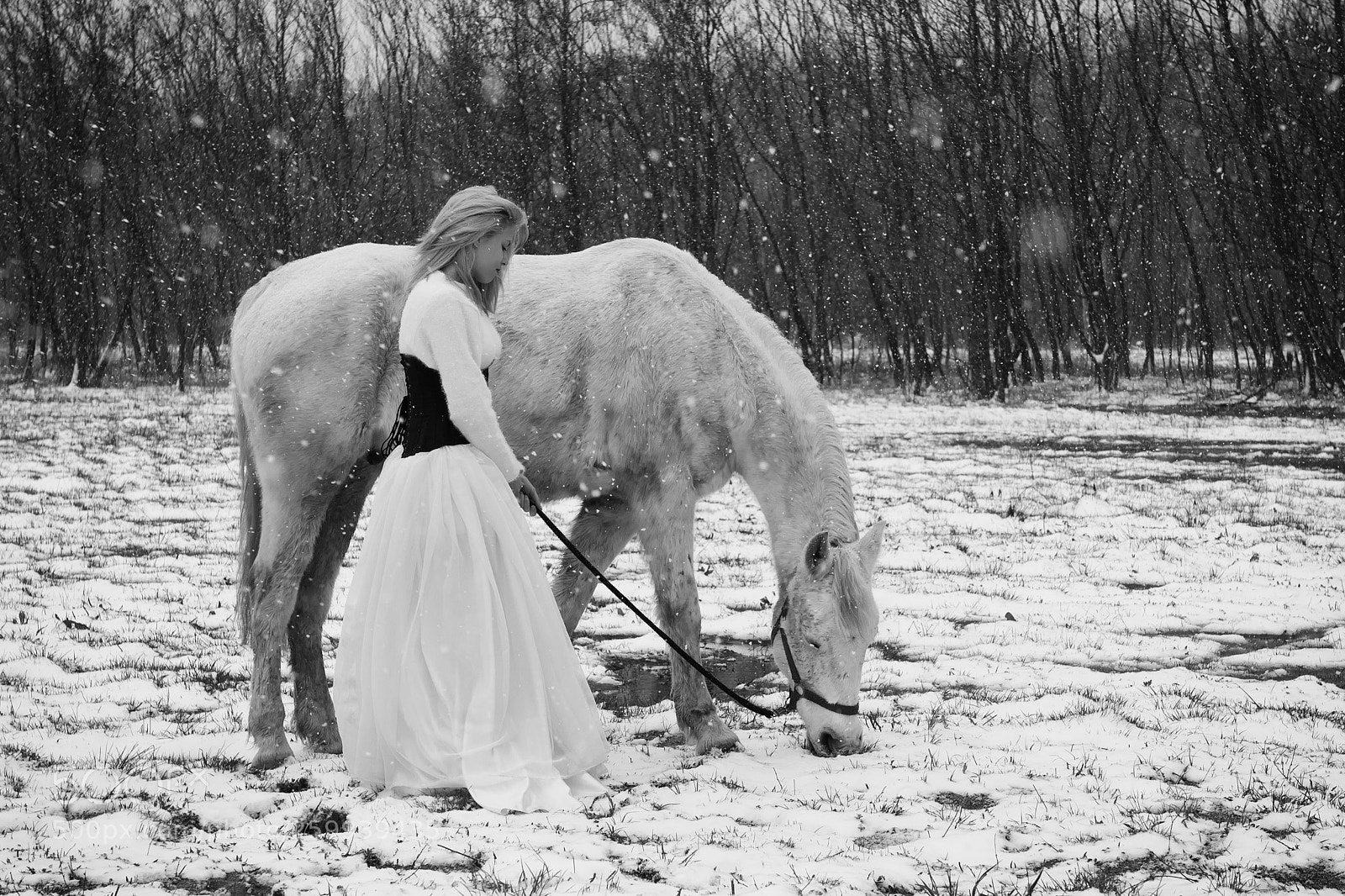 Nikon D300 sample photo. Selenat 01 photography