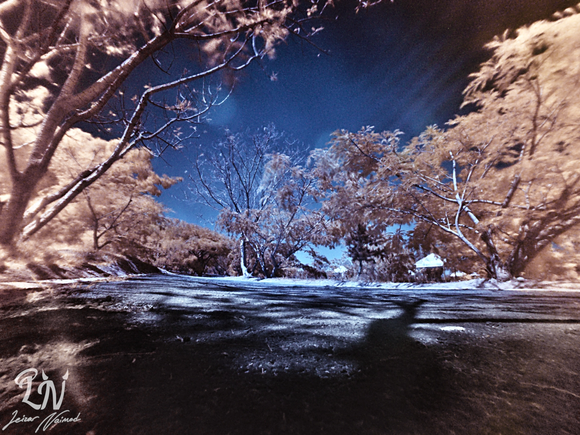 GoPro Hero5 Black sample photo. Infrared 2 photography