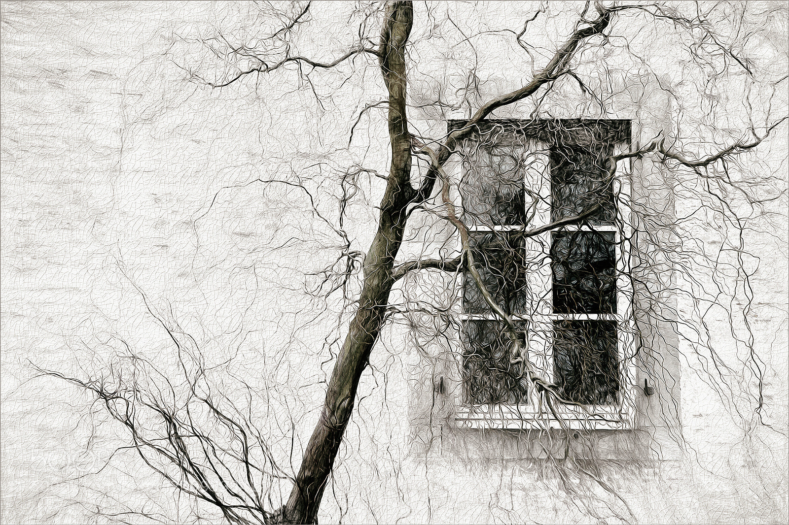 Canon EOS 40D sample photo. Veiled window photography