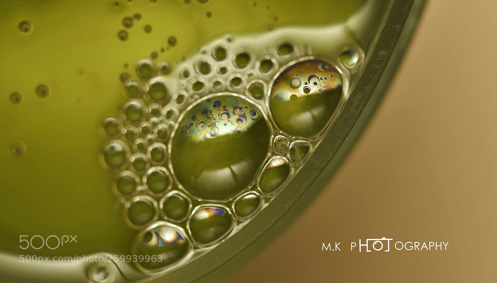 Nikon D810 sample photo. Untitled photography