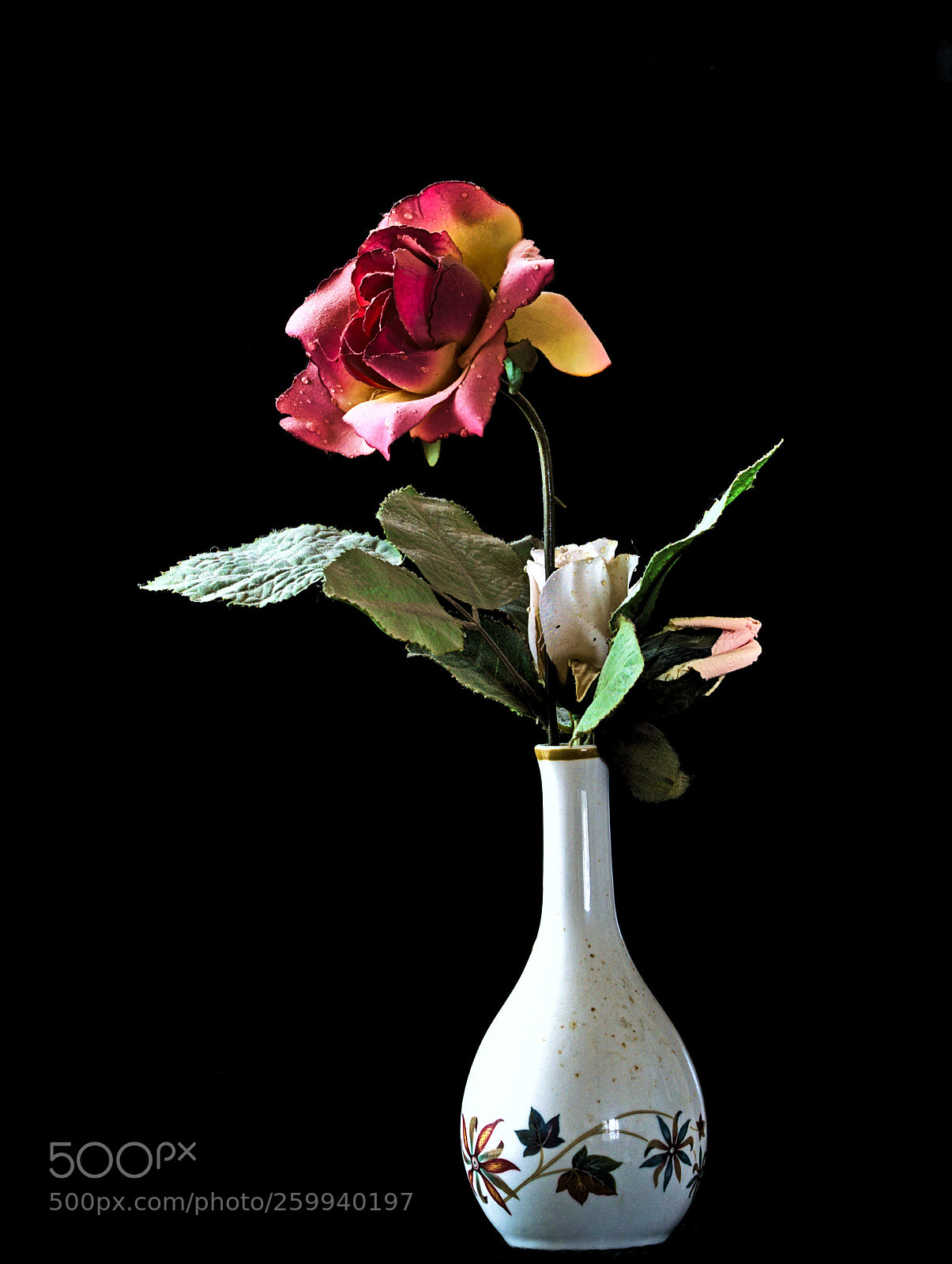 Nikon D3100 sample photo. Floral vase photography