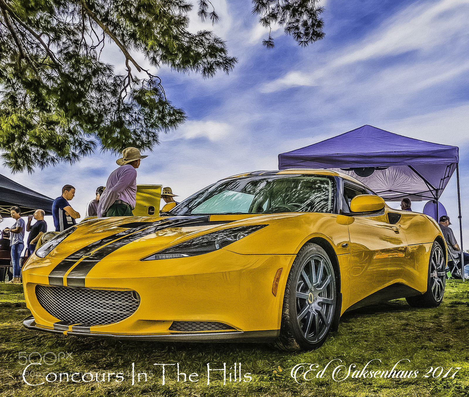Panasonic Lumix DMC-FZ1000 sample photo. Lotus photography