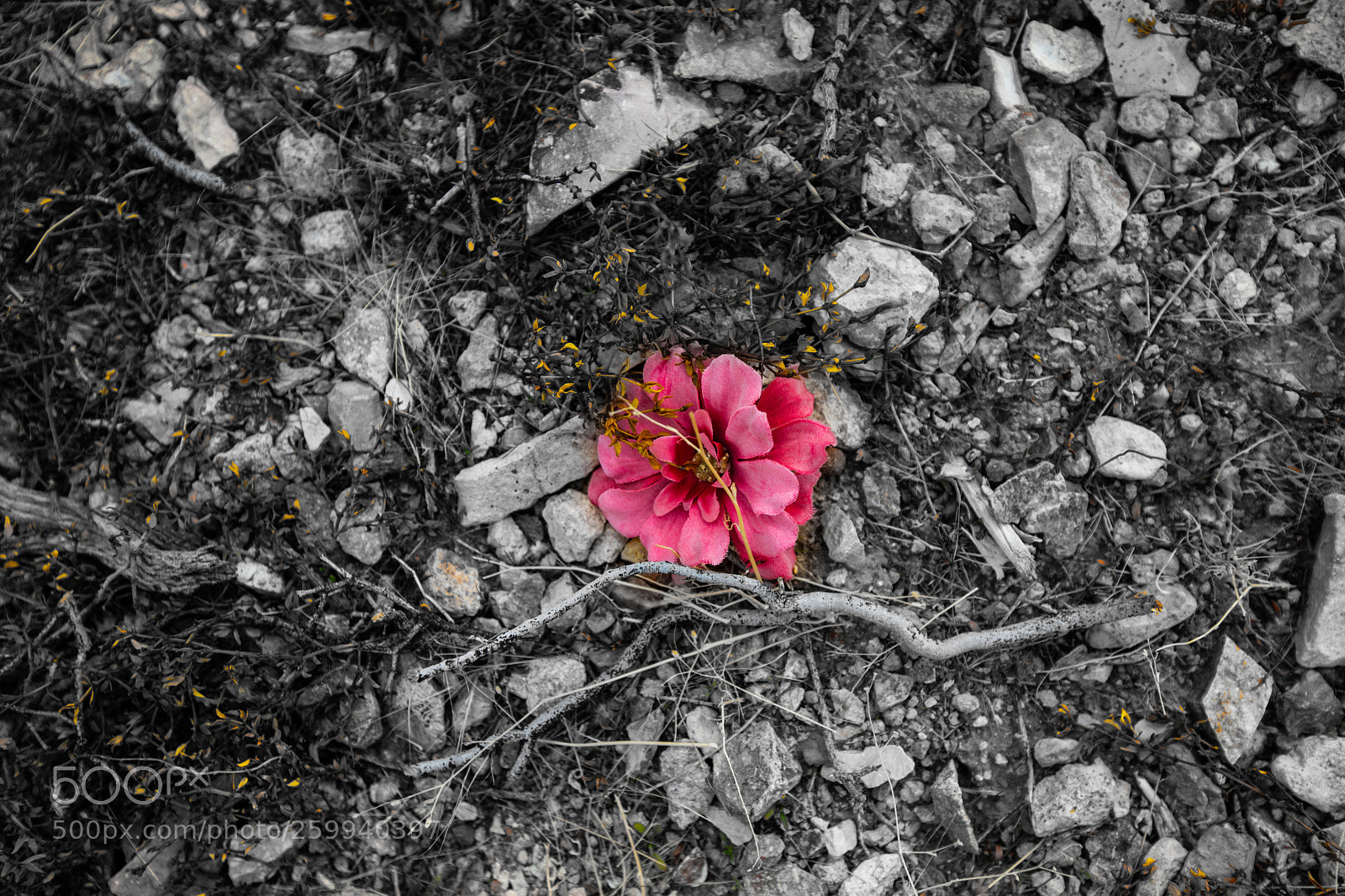 Canon EOS 5D Mark IV sample photo. Rhyolite ghost town photography