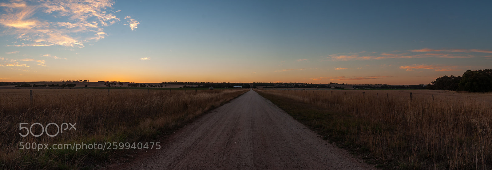 Nikon D5000 sample photo. Country road. photography
