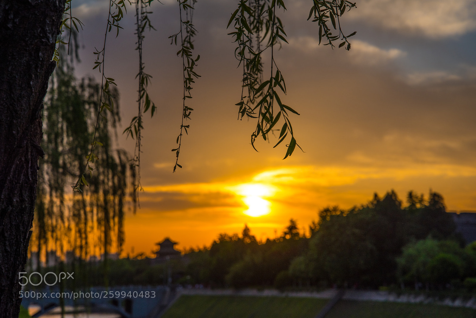 Nikon D750 sample photo. Sunset along the wall photography