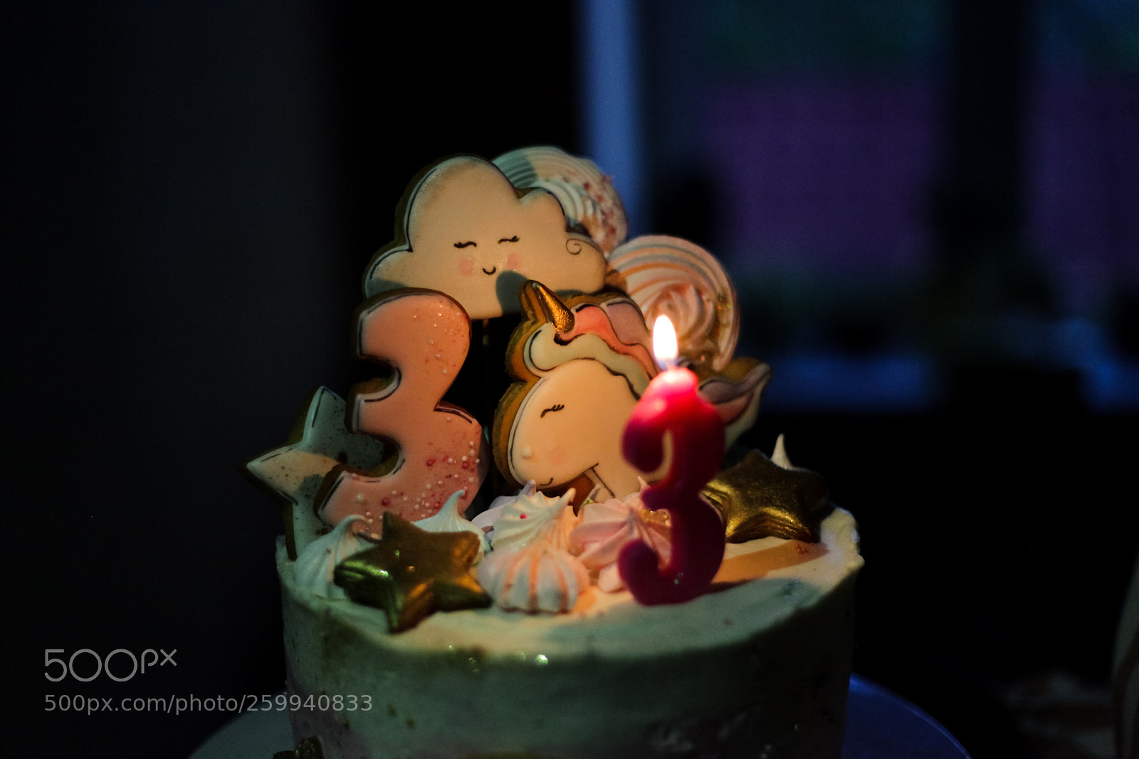Canon EOS 5D Mark II sample photo. Festive cake. for a photography