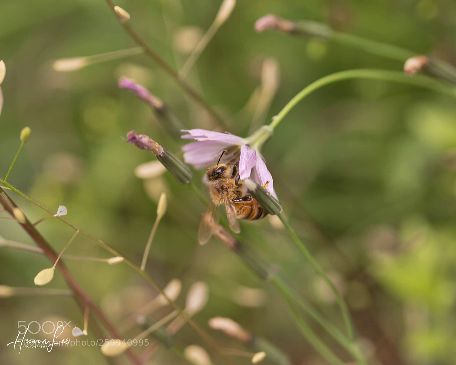 Canon EOS 6D sample photo. ᵞᴼᵁ ᴬᴺᴰ ᴵ photography