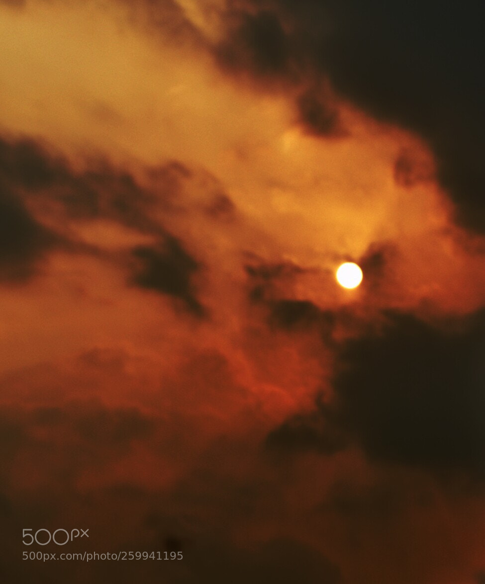 Nikon D5600 sample photo. Untitled photography