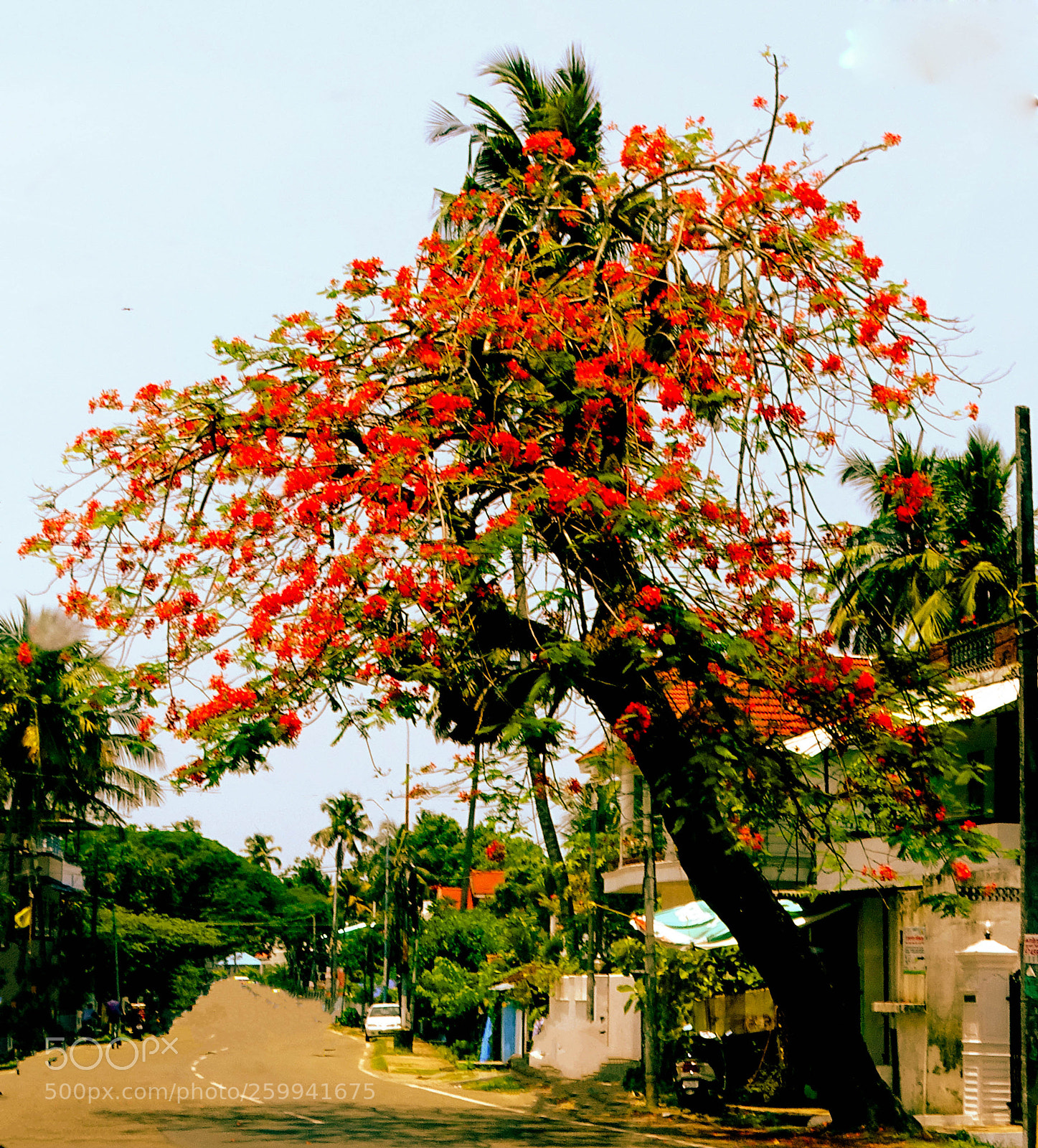 Sony Cyber-shot DSC-HX400V sample photo. Flame of the city photography