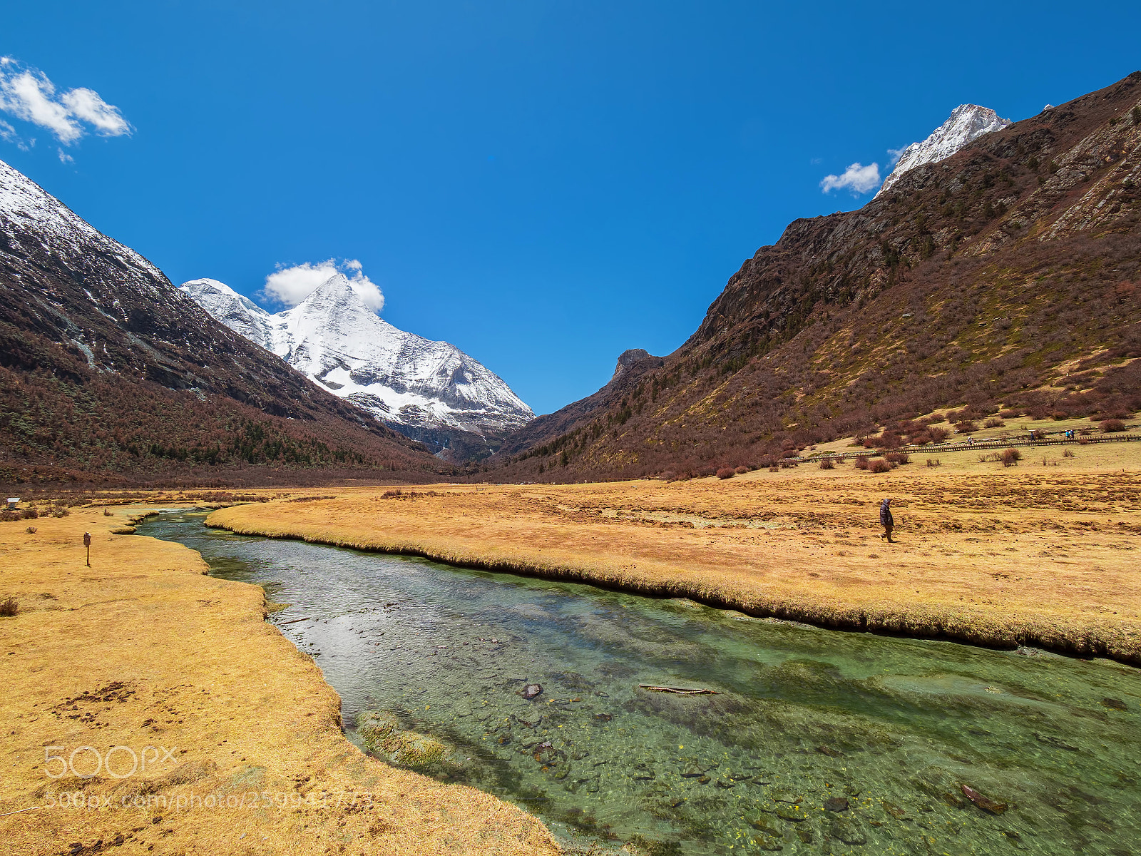 Olympus OM-D E-M1 Mark II sample photo. Yading nature reserve of photography