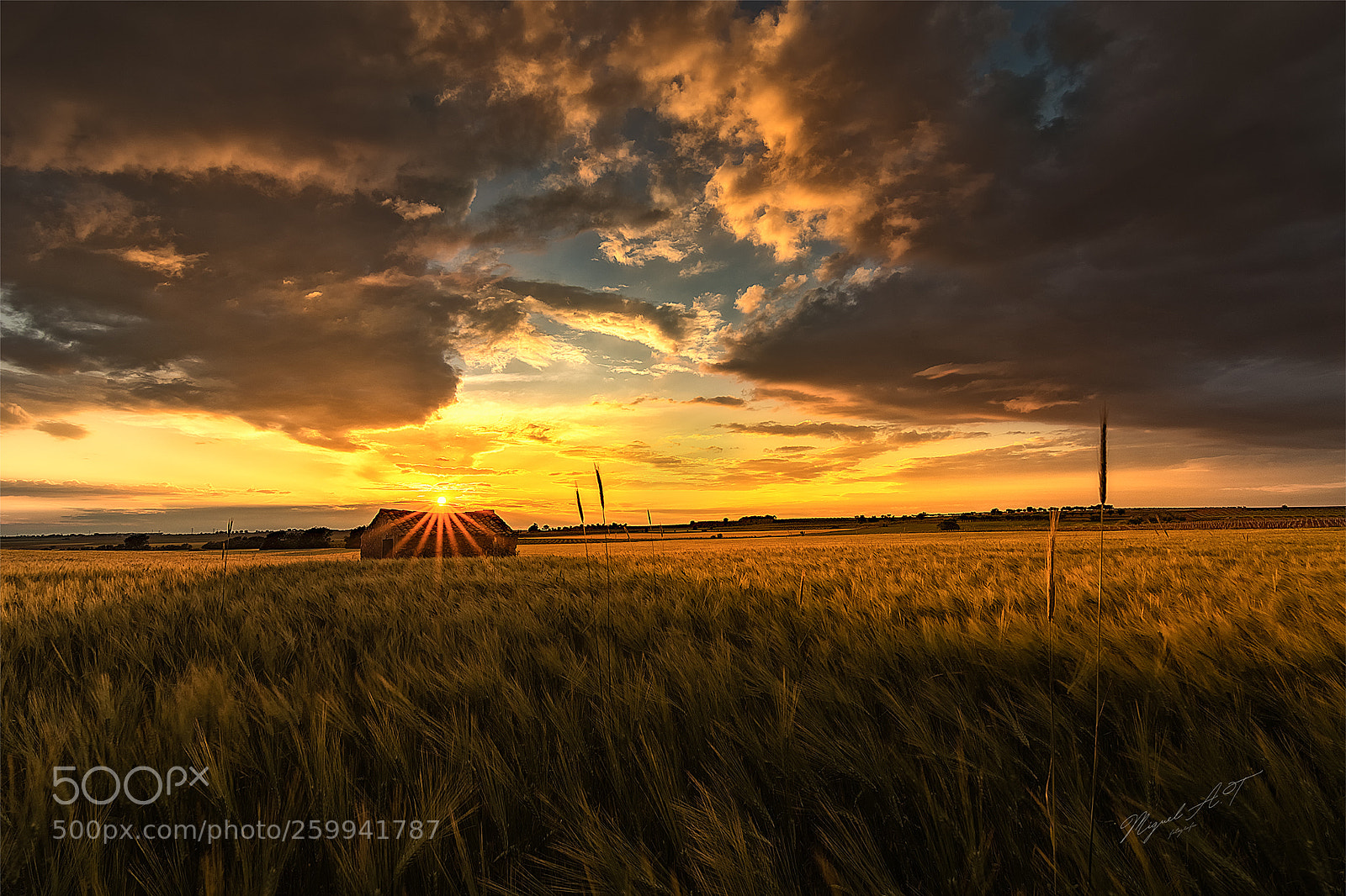 Nikon D7200 sample photo. Atardecer villatoya photography