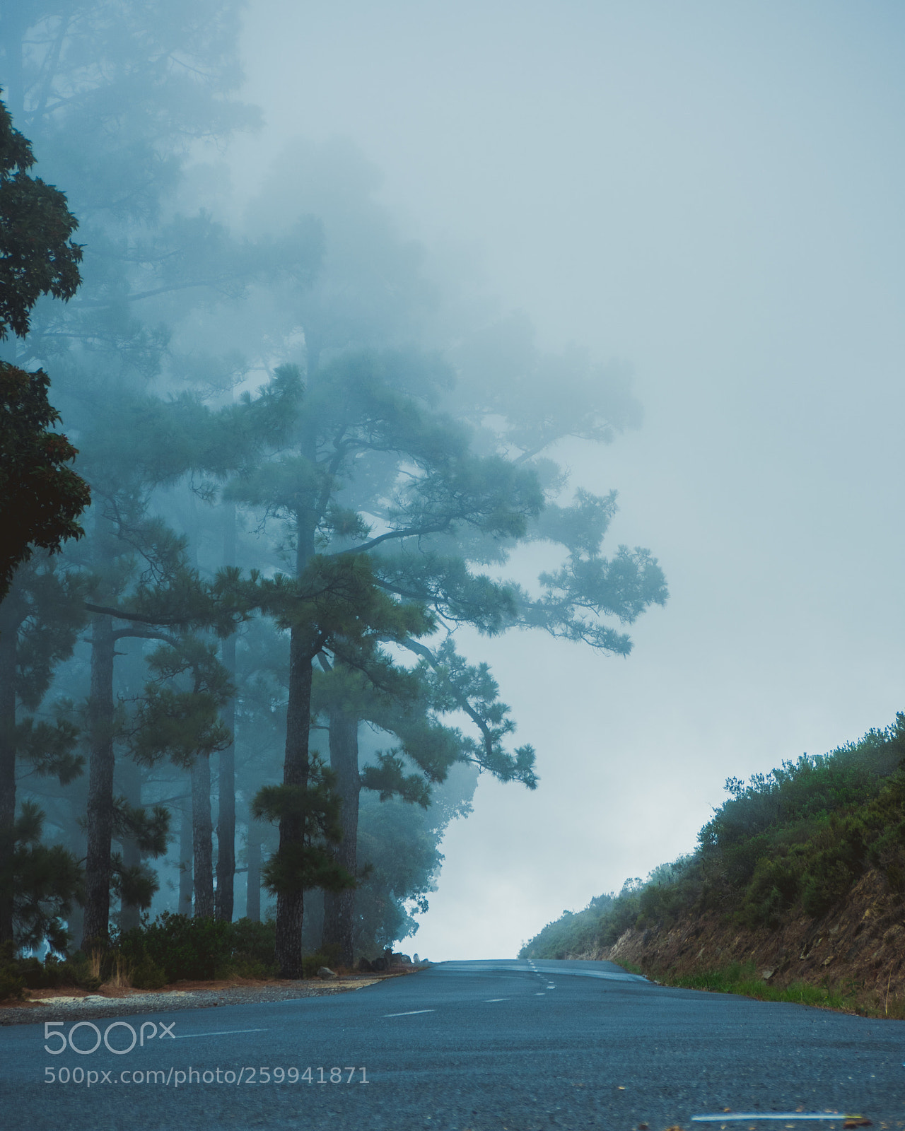 Panasonic Lumix DMC-GH4 sample photo. Misty signal hill photography