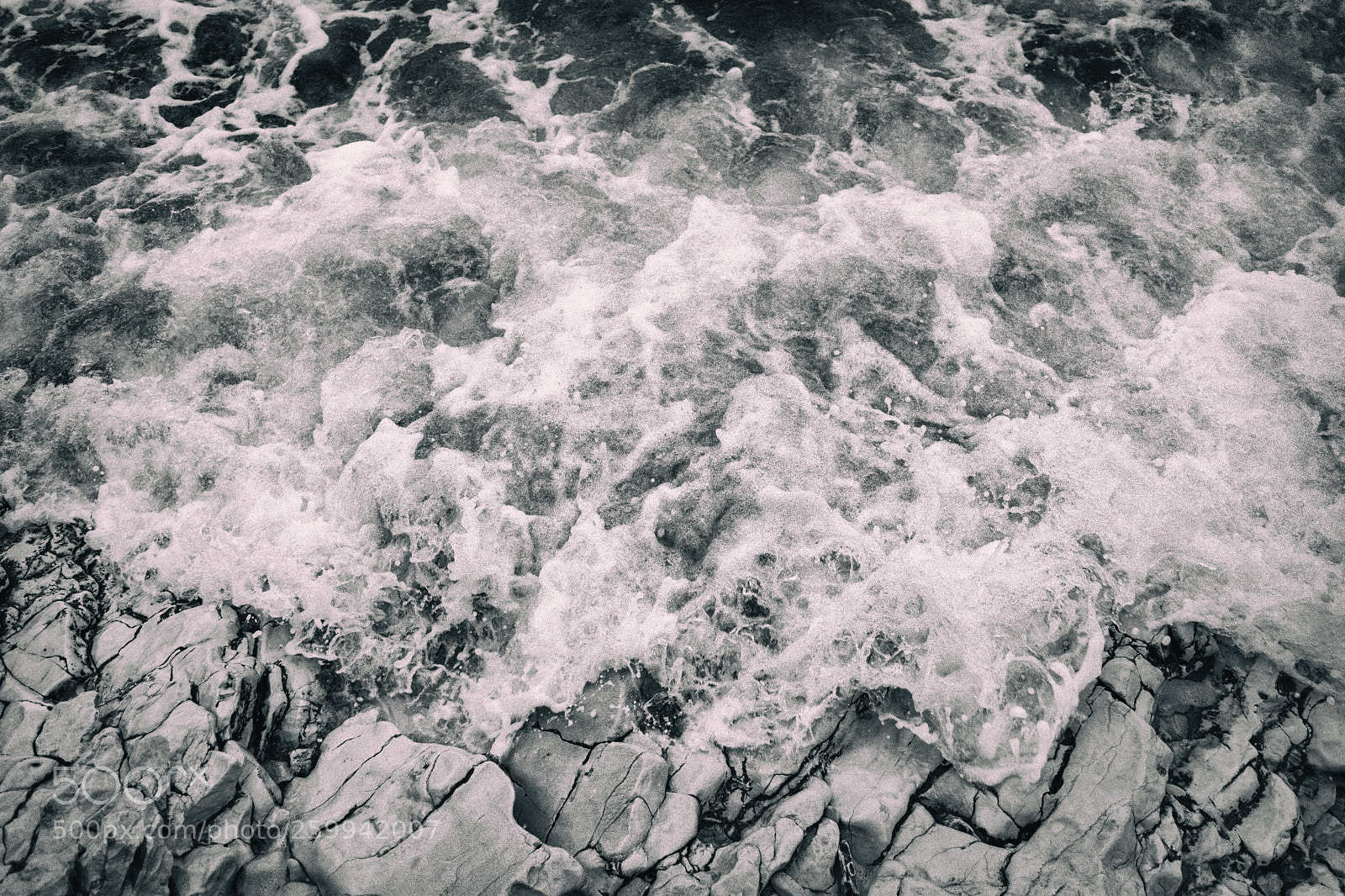 Nikon D3300 sample photo. Force of nature photography
