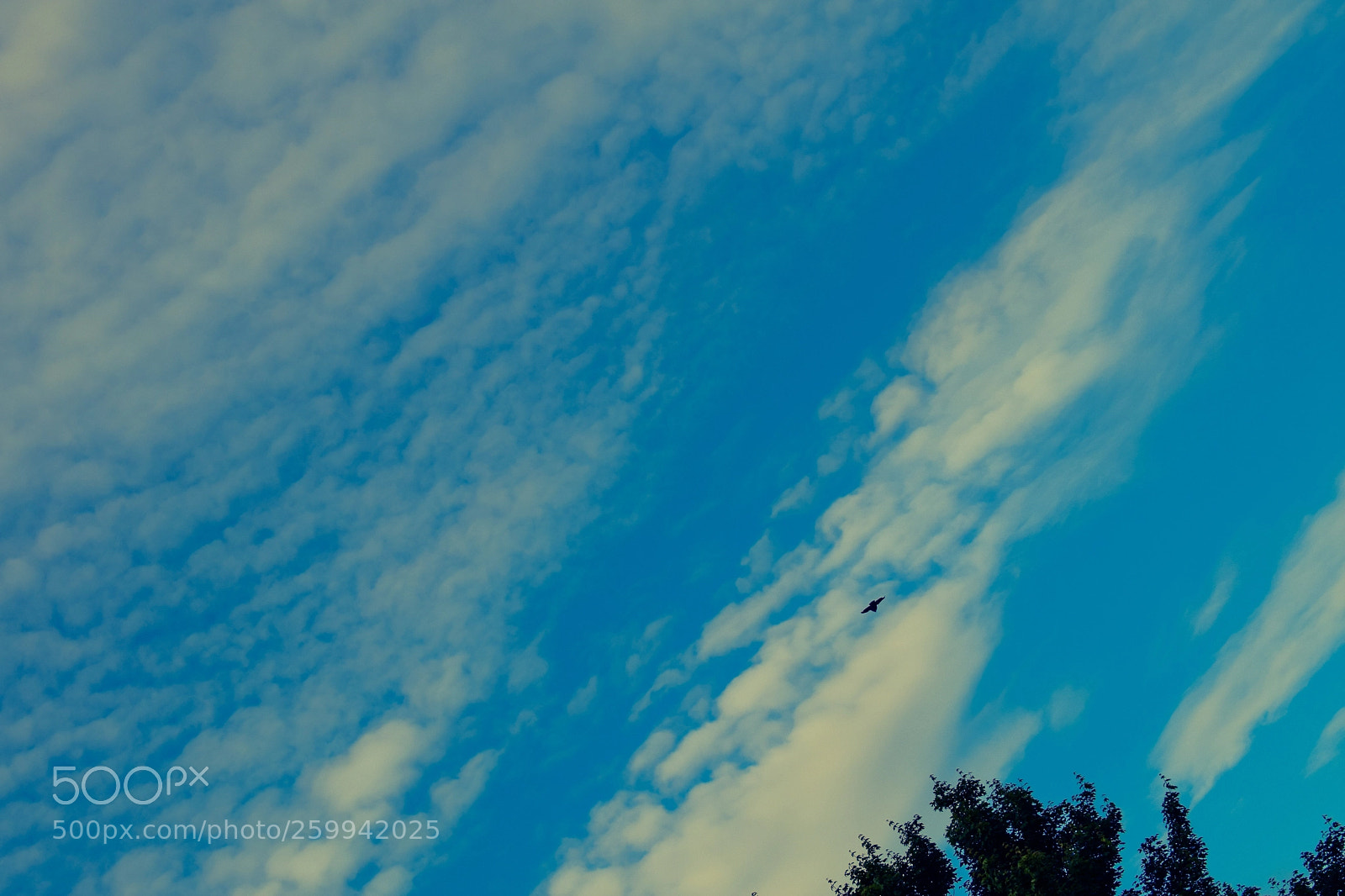 Nikon D5300 sample photo. Untitled photography