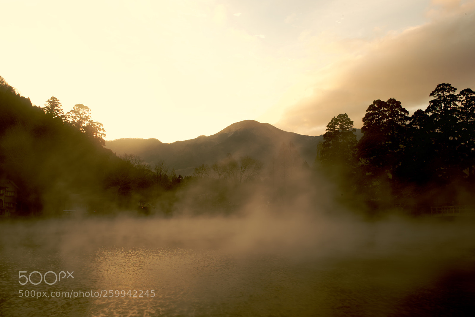 Nikon D750 sample photo. Morning mist photography