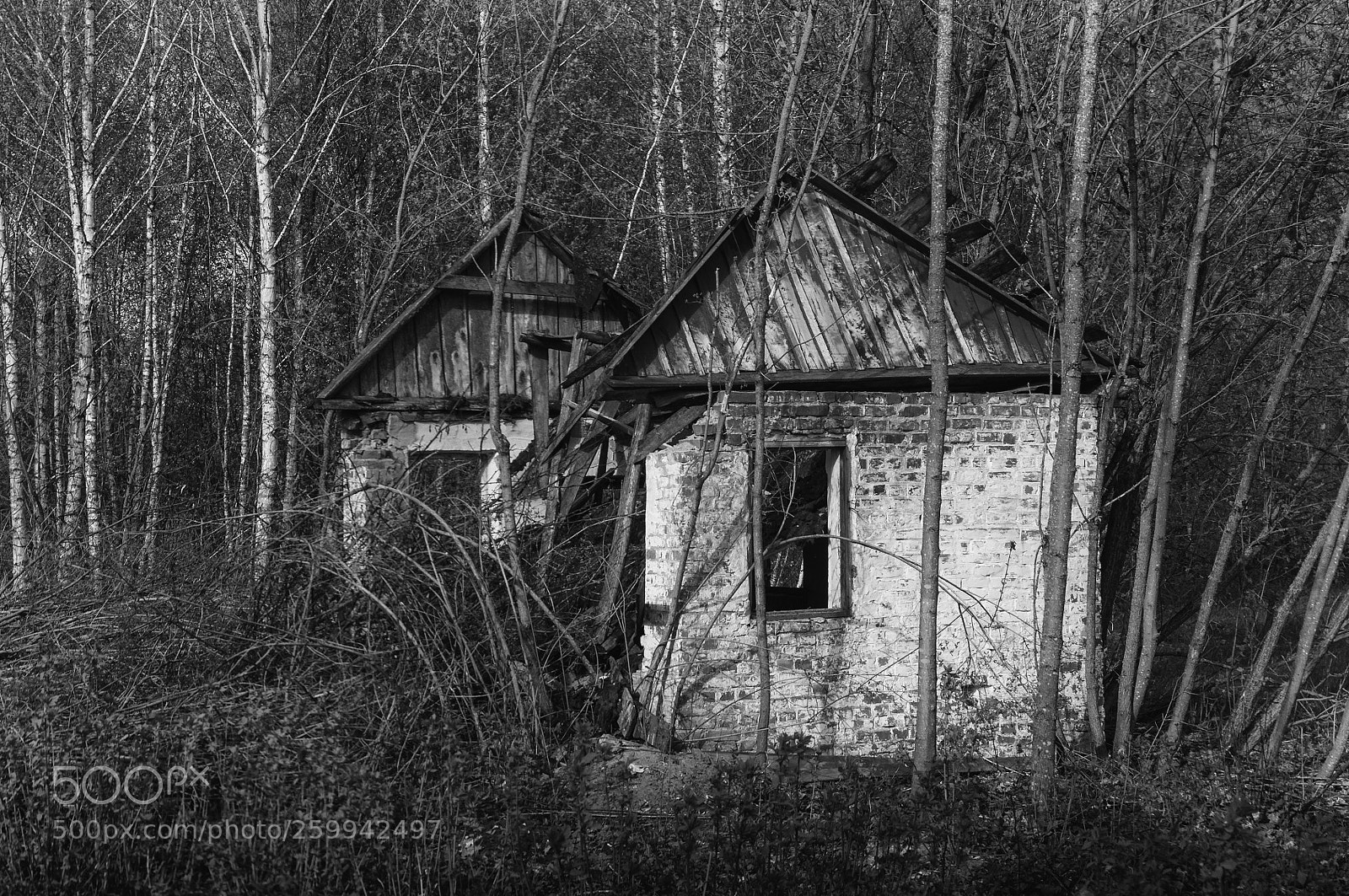 Nikon D90 sample photo. Oblivion photography
