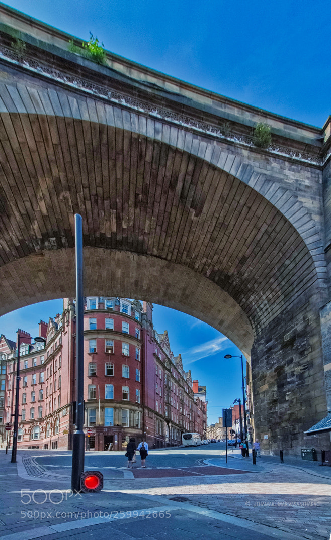 Canon EOS 450D (EOS Rebel XSi / EOS Kiss X2) sample photo. A view from newcastle photography