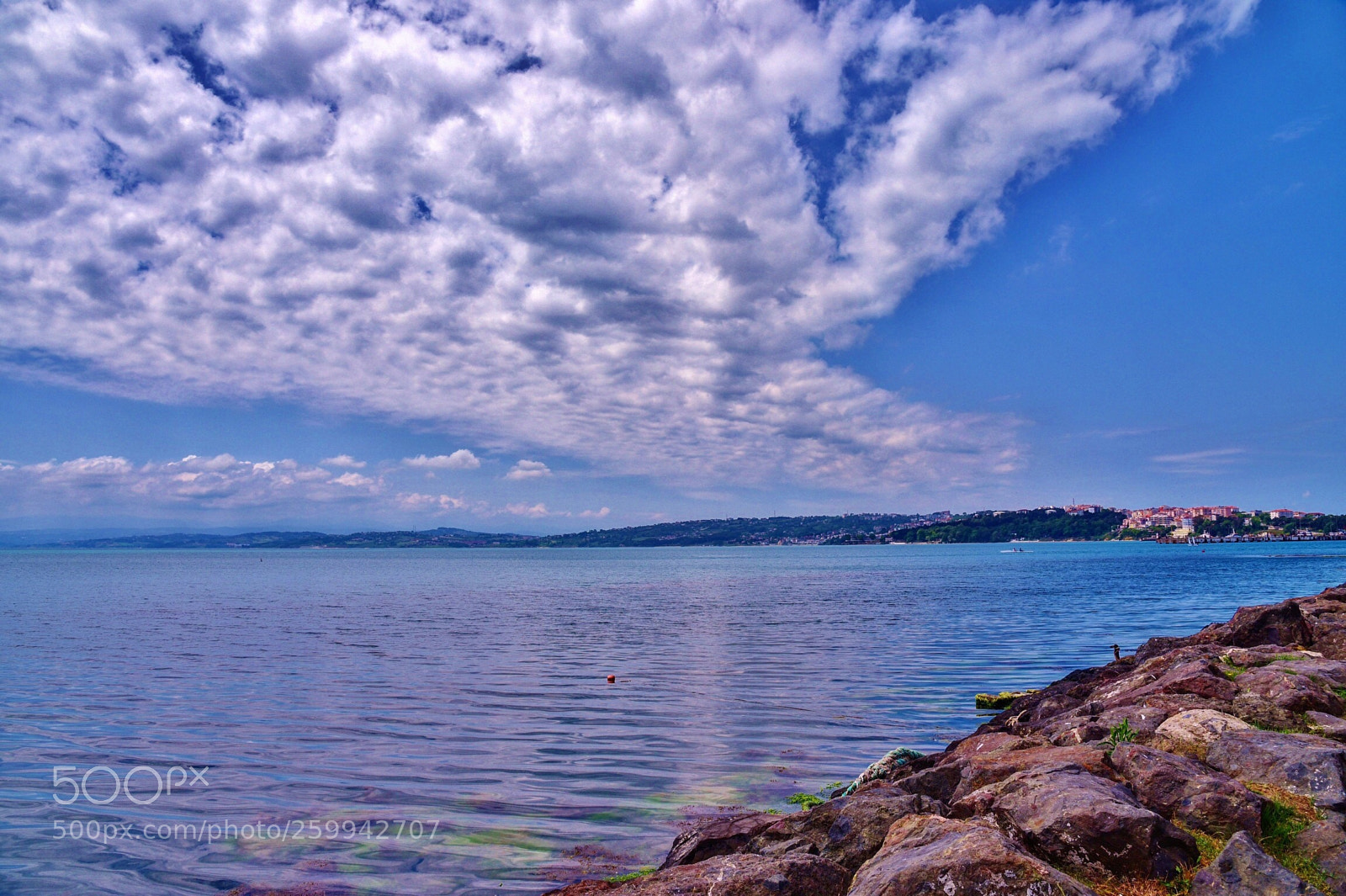 Nikon D750 sample photo. Cloudy day  photography